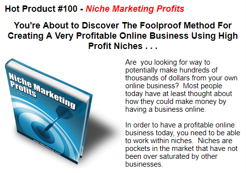 niche_profits
